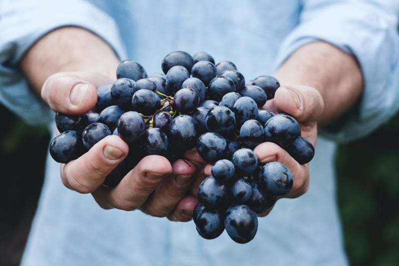 How To Store Wine: Wine Storage Guide